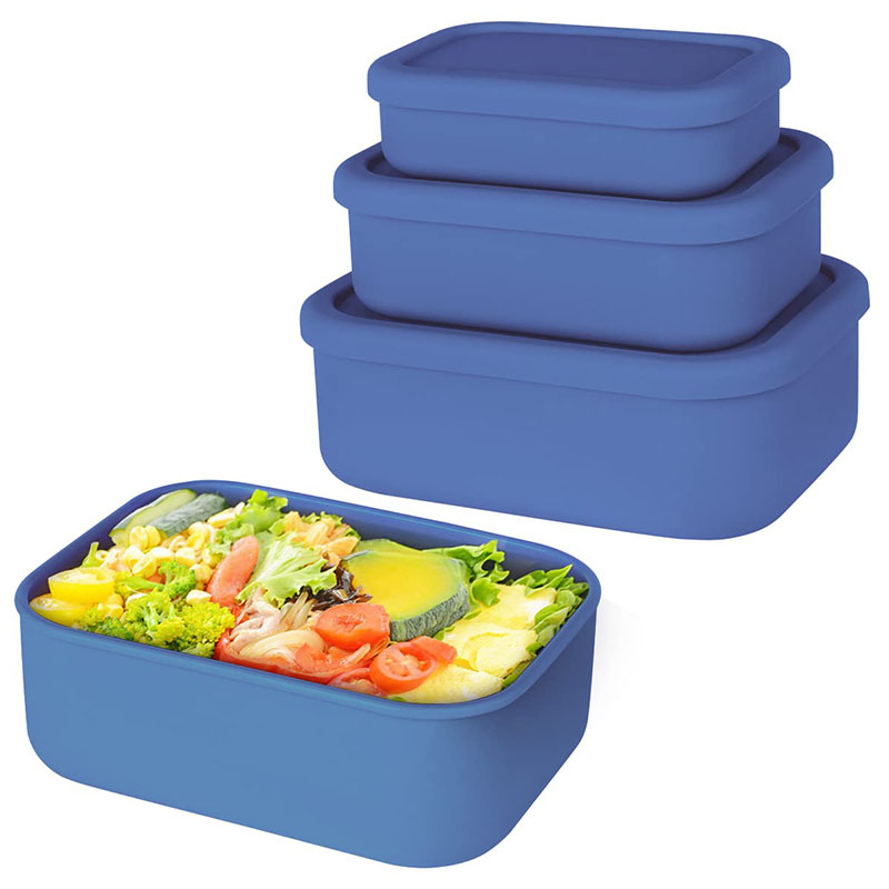 Boîte à lunch Bento étanche ré - Meal Prep Tupperware avis et prix
