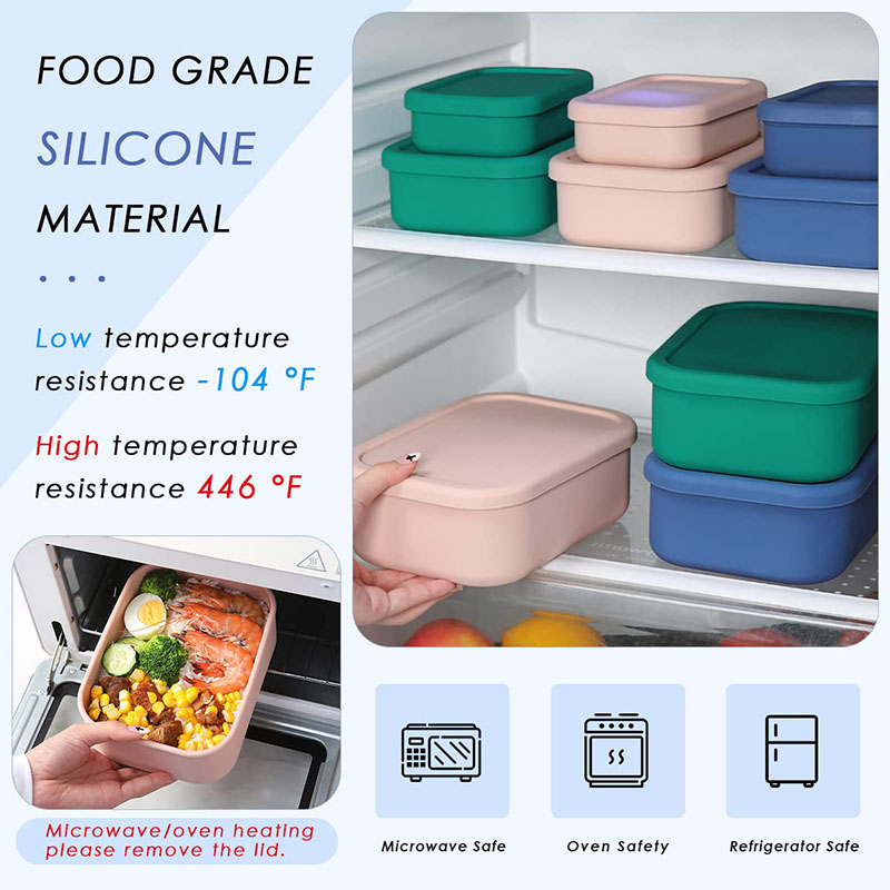 Boîte à lunch Bento étanche ré - Meal Prep Tupperware avis et prix